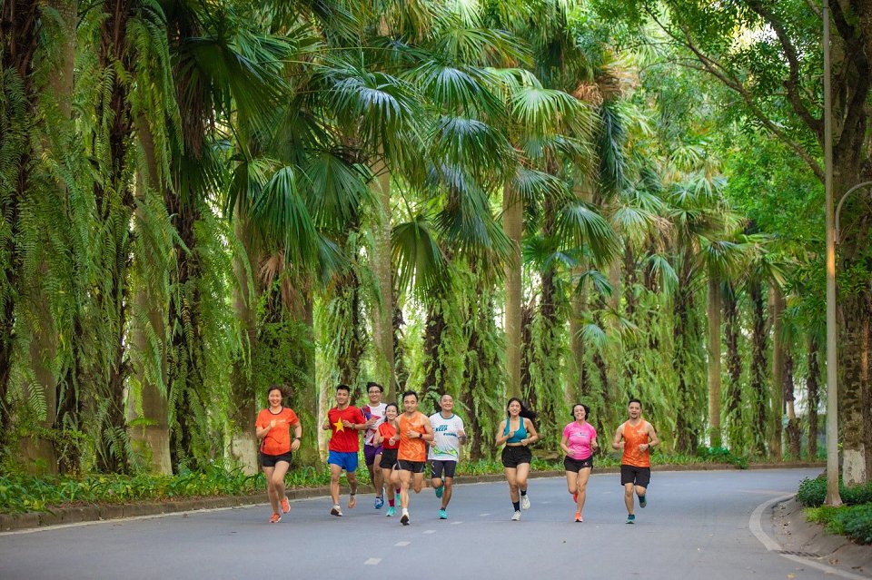 ecopark marathon chạy giữa miền xanh