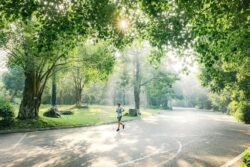 nắng sớm trên những con đường ecopark