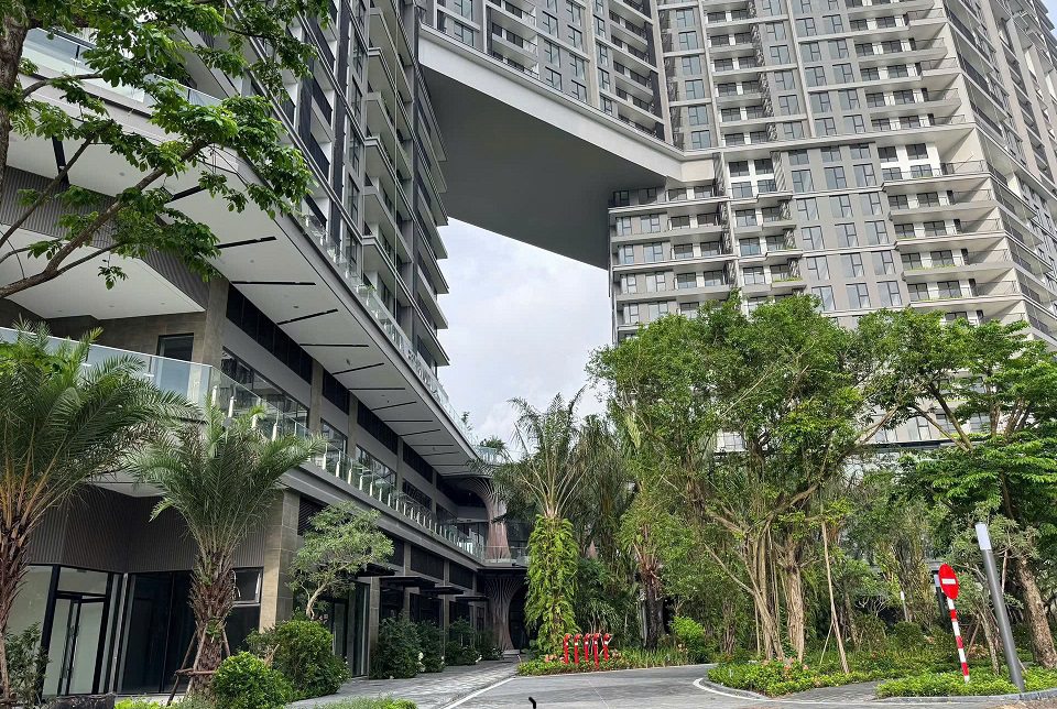 sky forest chuẩn bị bàn giao