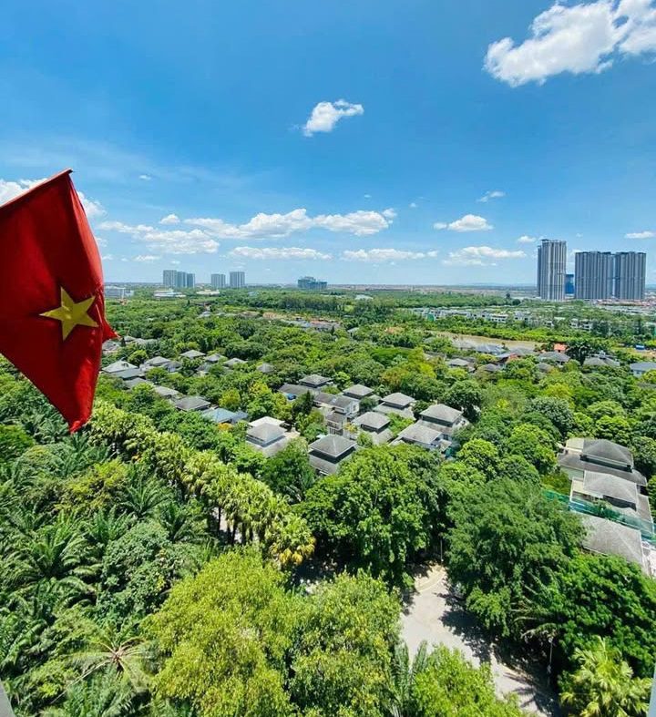 view từ căn hộ 3pn rừng cọ ecopark