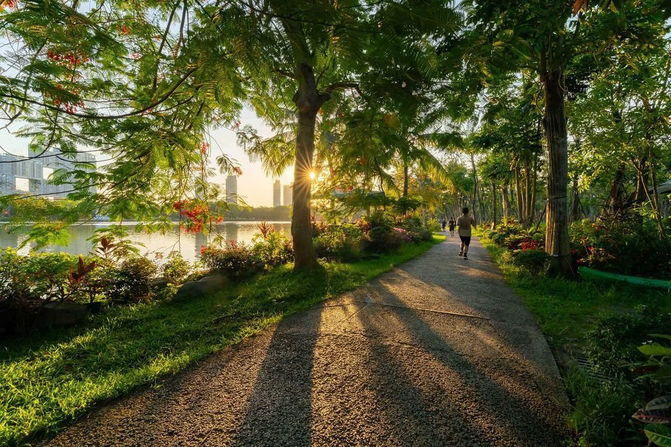 du lịch ecopark có gì hấp dẫn