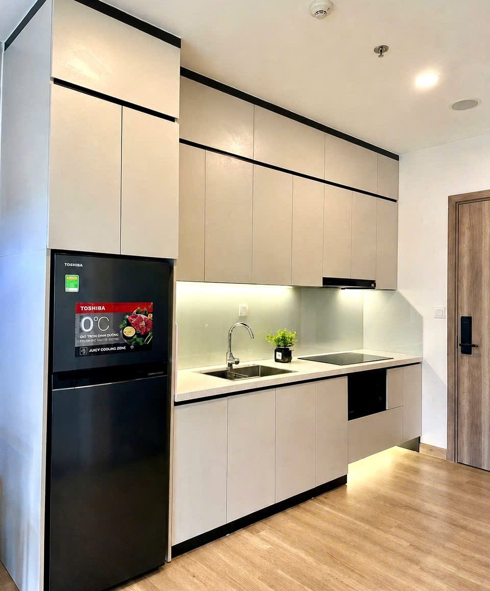 cho thuê studio ecopark full nội thất