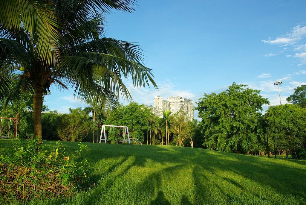 có nên mua nhà ở ecopark không