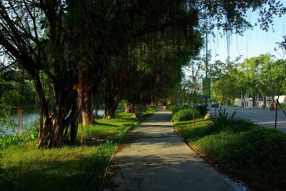 cung đường chạy bộ vịnh đảo Ecopark