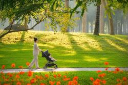 cung đường dạo bộ đẹp nhất Ecopark