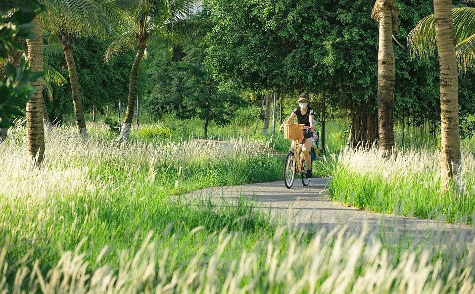 cung đường dạo bộ thơ mộng nhất Ecopark
