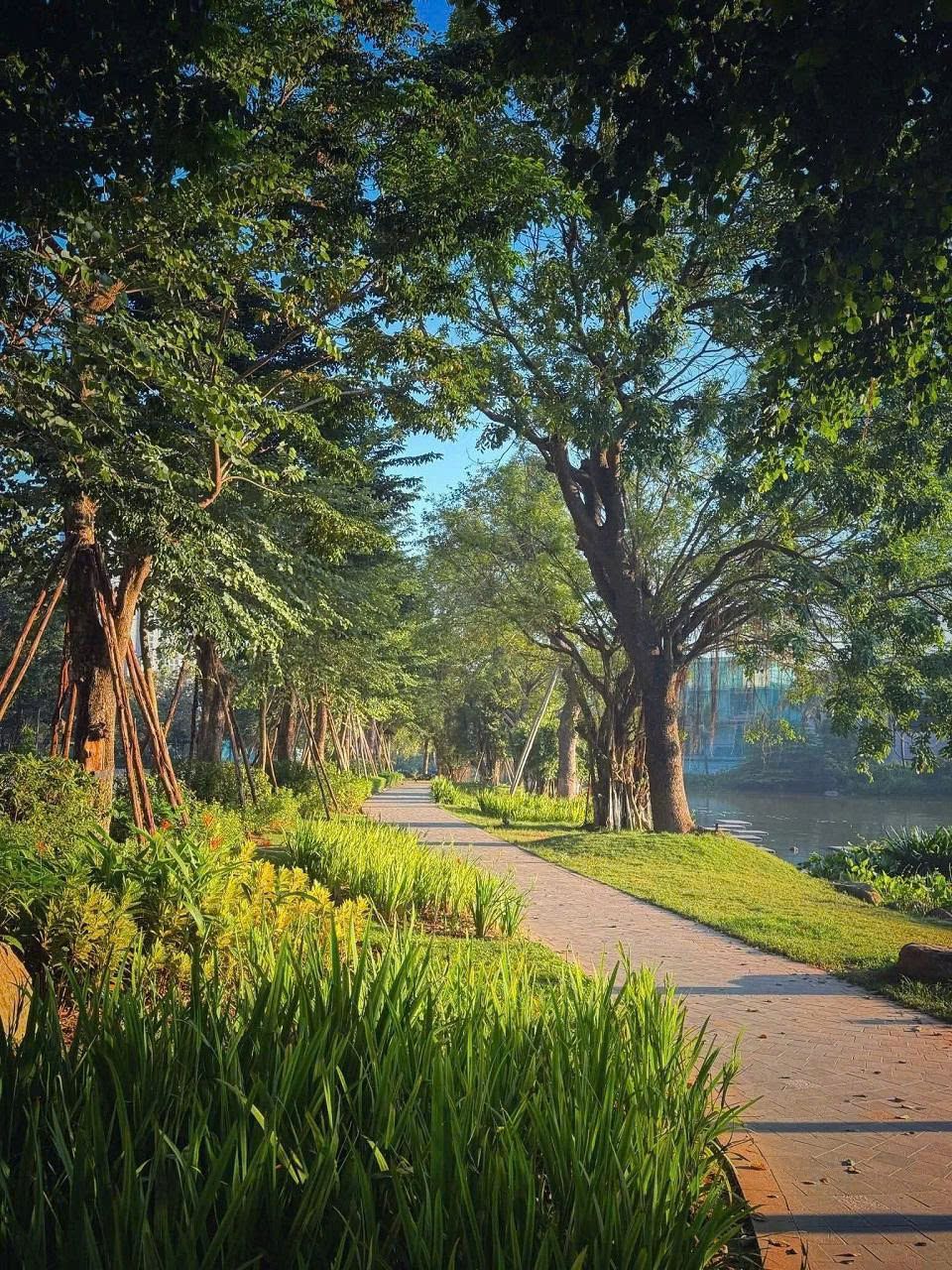cung đường dạo bộ vịnh đảo Ecopark