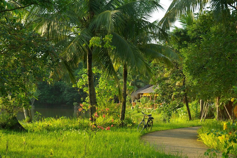 Cung đường đạp xe dạo bộ Ecopark