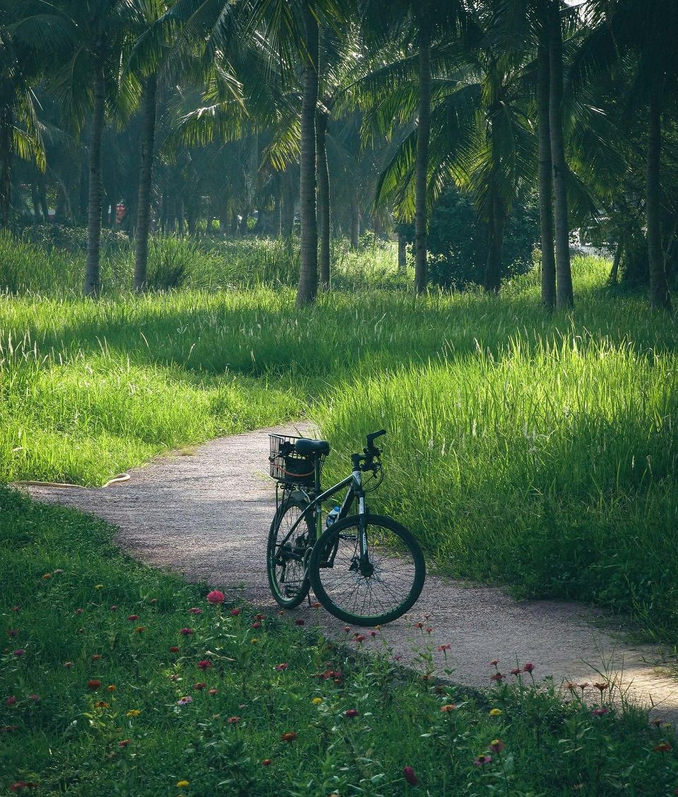 cung đường đạp xe thú vị nhất Ecopark
