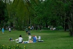 trẻ con nô đùa giữa thảm cỏ xanh ecopark